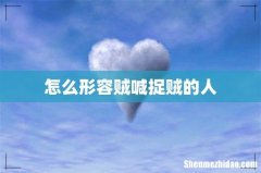 怎么形容贼喊捉贼的人