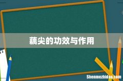 藕尖的功效与作用