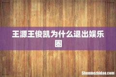 王源王俊凯为什么退出娱乐圈