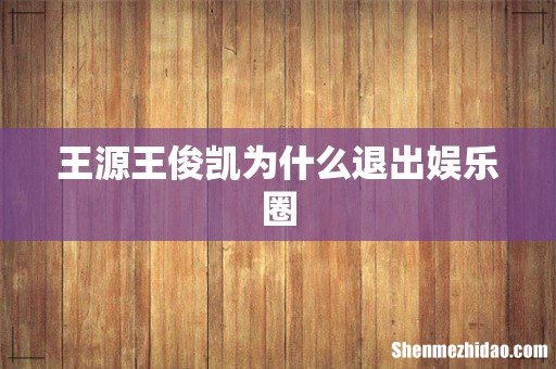 王源王俊凯为什么退出娱乐圈
