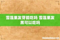 雪莲果发芽能吃吗 雪莲果发黑可以吃吗