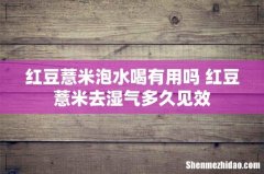 红豆薏米泡水喝有用吗 红豆薏米去湿气多久见效