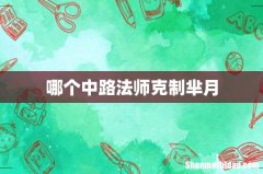 哪个中路法师克制芈月