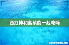 西红柿和菠菜能一起吃吗