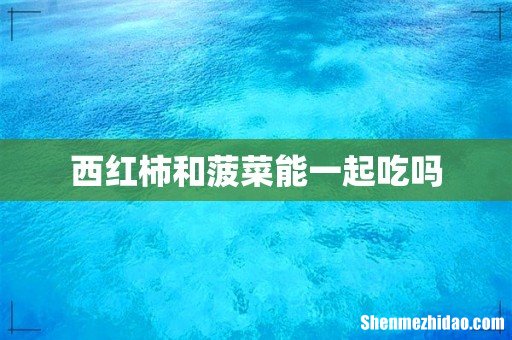 西红柿和菠菜能一起吃吗