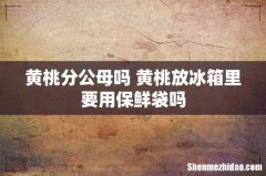 黄桃分公母吗 黄桃放冰箱里要用保鲜袋吗