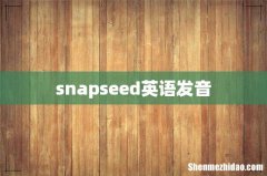 snapseed英语发音