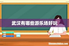 武汉有哪些游乐场好玩