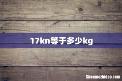 17kn等于多少kg