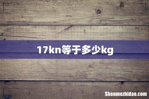 17kn等于多少kg