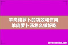 羊肉炖萝卜的功效和作用 羊肉萝卜汤怎么做好吃