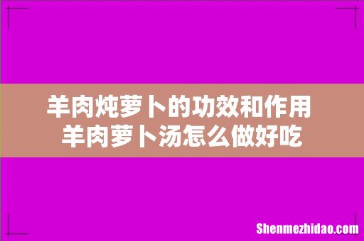 羊肉炖萝卜的功效和作用 羊肉萝卜汤怎么做好吃