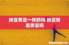 纳豆黄豆一样的吗 纳豆就是黄豆吗