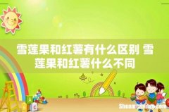 雪莲果和红薯有什么区别 雪莲果和红薯什么不同