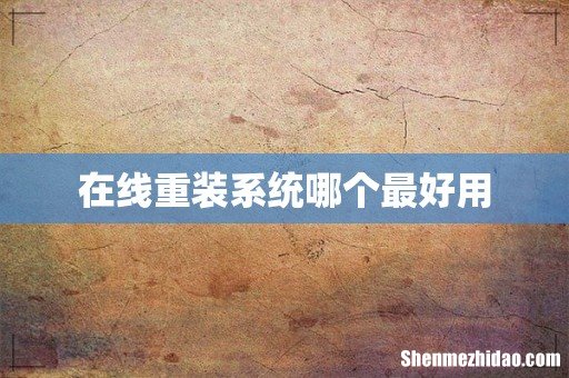 在线重装系统哪个最好用