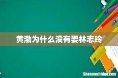 黄渤为什么没有娶林志玲