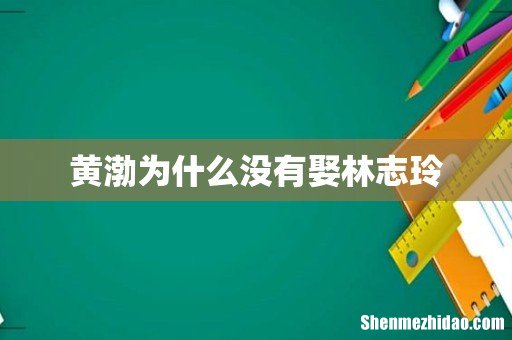黄渤为什么没有娶林志玲