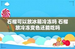 石榴可以放冰箱冷冻吗 石榴放冷冻变色还能吃吗