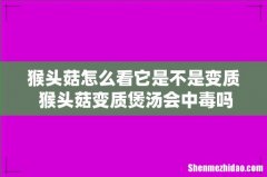 猴头菇怎么看它是不是变质 猴头菇变质煲汤会中毒吗