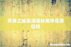 青春之城秦海璐林雨申是情侣吗