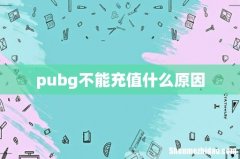 pubg不能充值什么原因