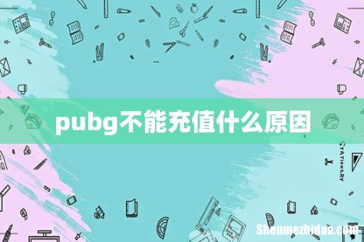 pubg不能充值什么原因