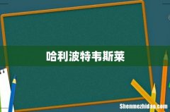 哈利波特韦斯莱
