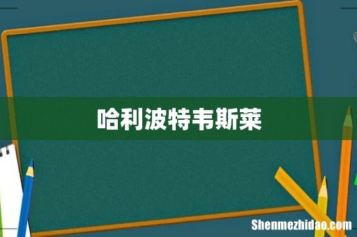 哈利波特韦斯莱