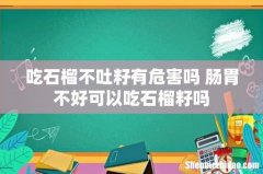 吃石榴不吐籽有危害吗 肠胃不好可以吃石榴籽吗