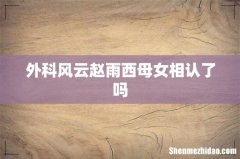 外科风云赵雨西母女相认了吗