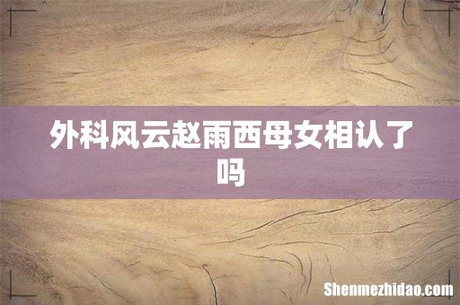 外科风云赵雨西母女相认了吗