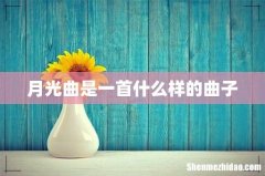 月光曲是一首什么样的曲子