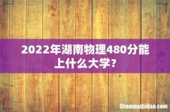 2022年湖南物理480分能上什么大学？