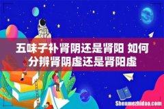 五味子补肾阴还是肾阳 如何分辨肾阴虚还是肾阳虚