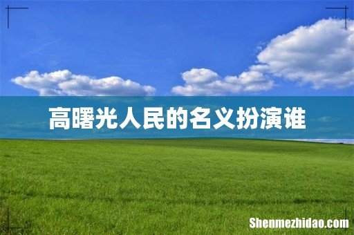 高曙光人民的名义扮演谁