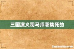 三国演义司马师哪集死的
