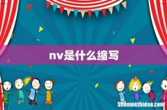 nv是什么缩写