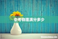 中考物理满分多少