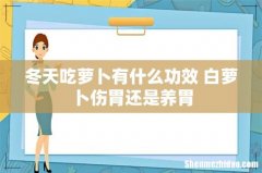 冬天吃萝卜有什么功效 白萝卜伤胃还是养胃