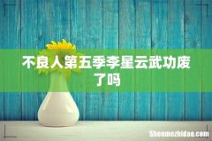 不良人第五季李星云武功废了吗