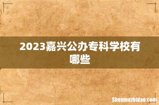 2023嘉兴公办专科学校有哪些