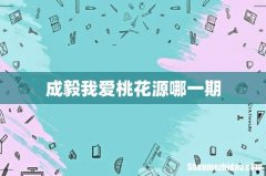 成毅我爱桃花源哪一期