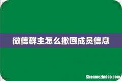 微信群主怎么撤回成员信息