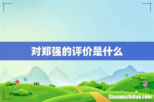 对郑强的评价是什么