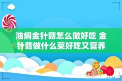 油焖金针菇怎么做好吃 金针菇做什么菜好吃又营养