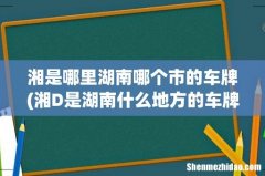 湘D是湖南什么地方的车牌 湘是哪里湖南哪个市的车牌