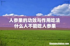 人参果的功效与作用吃法 什么人不能吃人参果