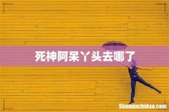 死神阿呆丫头去哪了