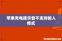 苹果充电提示音不支持输入格式