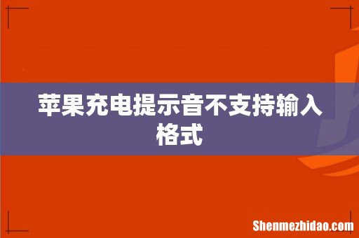 苹果充电提示音不支持输入格式